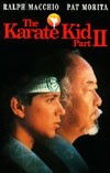 My recommendation: The Karate Kid: Part II